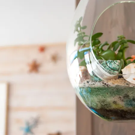 La Cote Oceane - Jean De Monts فندق سان جان دي مونت